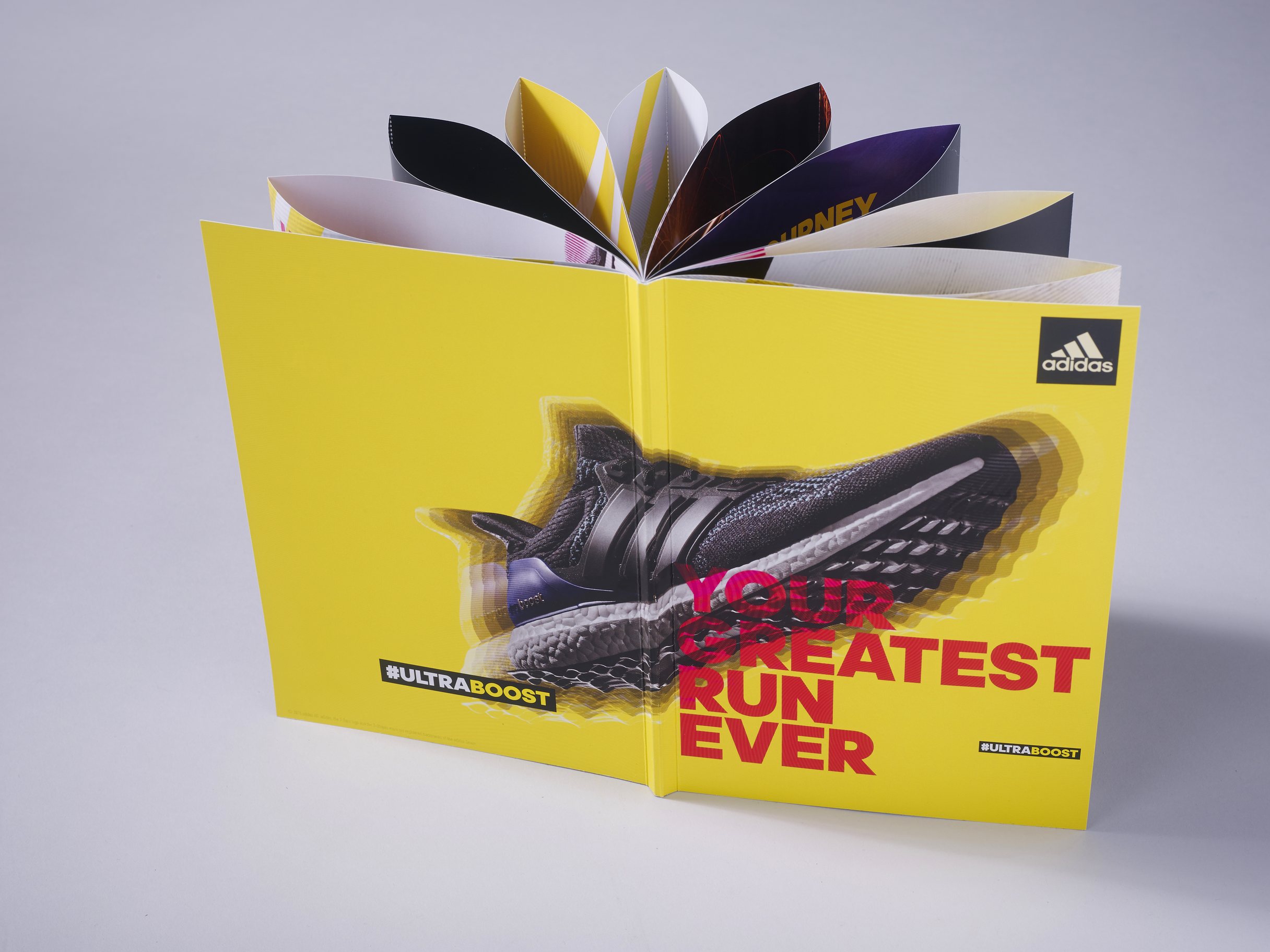 adidas Ultraboost Bible: front and back cover, standing