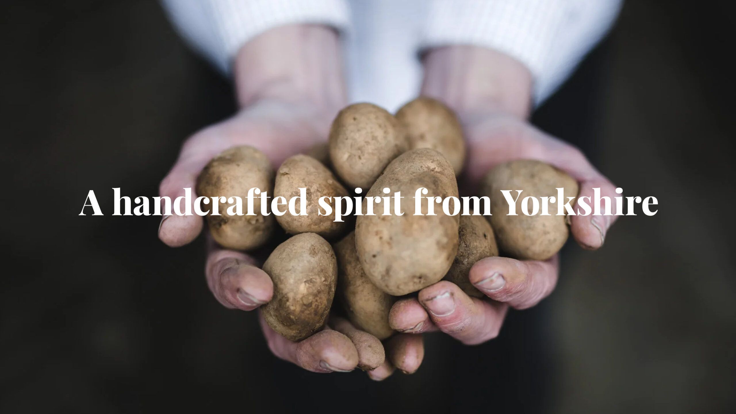 Hands holding freshly dug potatoes under the line A handcrafted spirit from Yorkshire